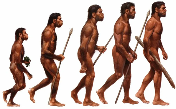 EVOLUCIJA